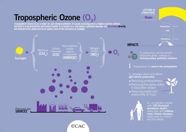 Tropospheric ozone infographic