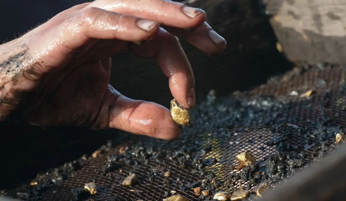Sifting soil in water through the grate in search of gold concept