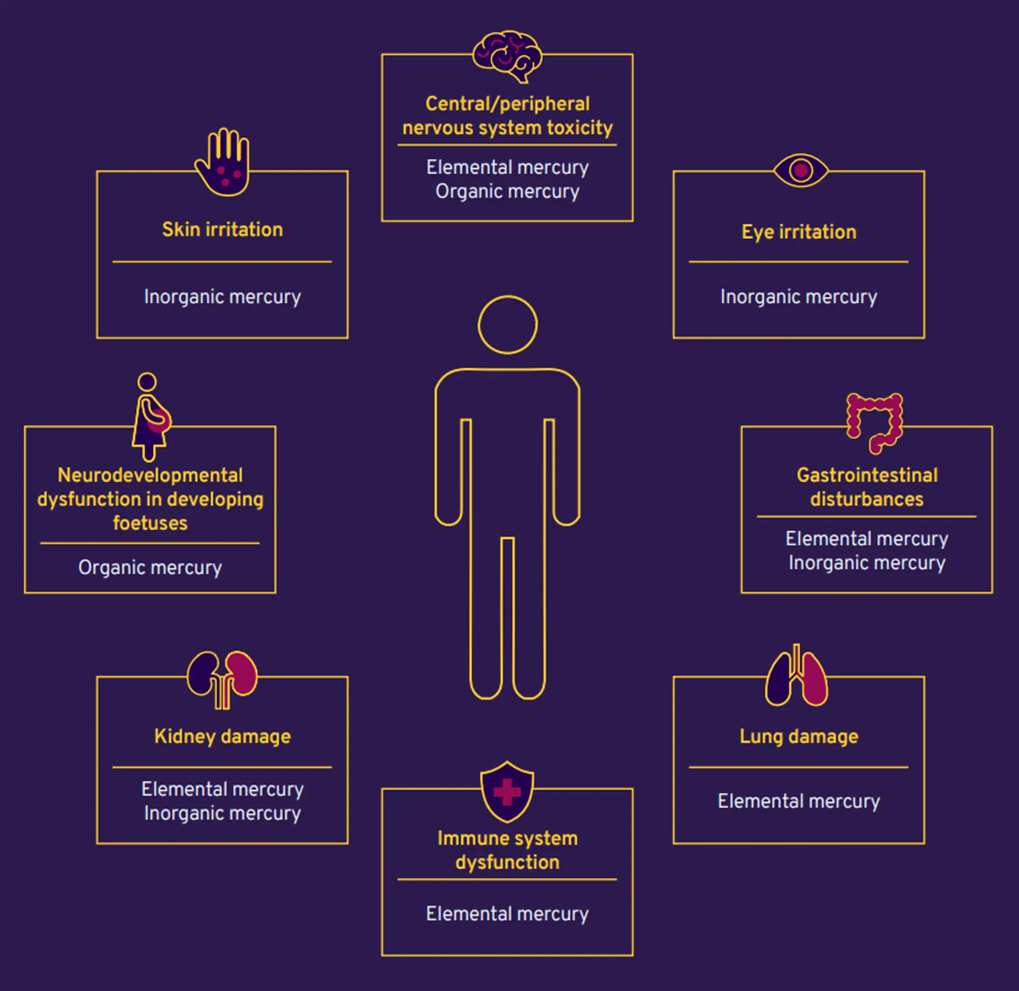 Health impacts of Mercury